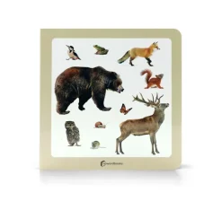 Animales del bosque 2