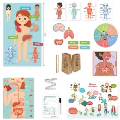 Aprendo en positivo cuerpo humano