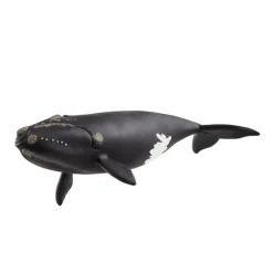 Ballena franca glacial. Schleich