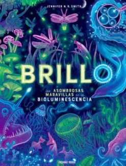 Brillo