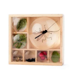 Caja con lupas para observación de insectos