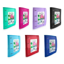 Carpebloc A4 4 anillas 32mm. con recambio de 100 hojas colores surtidos