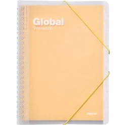 Carpeta Global
