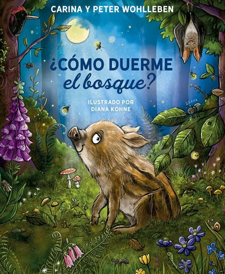 ¿Cómo duerme el bosque?
