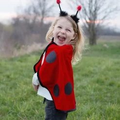 Disfraz capa mariquita 2-3 años