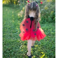 Disfraz mariquita 4-6 años