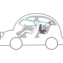 Espejo de coche koala