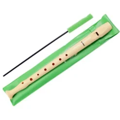 Flauta dulce con funda verde
