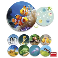 Juego de mesa El mundo animal: descubre y clasifica