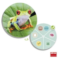 Juego de mesa El mundo animal: descubre y clasifica