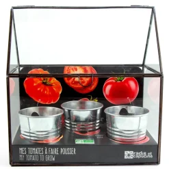 Kit de cultivo invernadero cristal tomates bio con 3 macetas metal