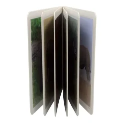 Los Animales Salvajes