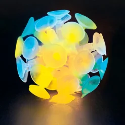Pelota luminosa de ventosas