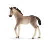 Potro andaluz. Schleich