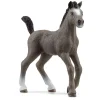 Potro Cheval de Selle Français. Schleich