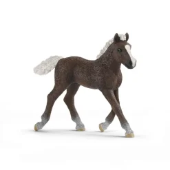 Potro de la Selva Negra. Schleich