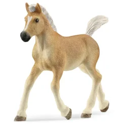 Potro Haflinger. Schleich