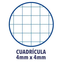 Recambio A4 cuadrícula 4x4mm 4 taladros 250 hojas con margen 90gr. Oxford