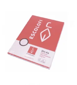 Recambio folio 4 taladros 100 hojas con margen