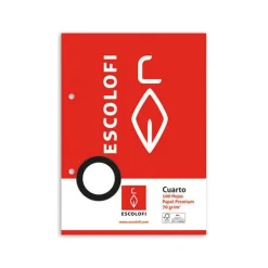 Recambio tamaño cuarto cuadro 6mm. 100 hojas con margen y 2 taladros