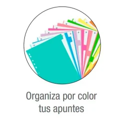 Separadores de colores tamaño A4 10 posiciones