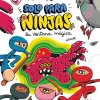 Solo para ninjas 3: La ventana mágica