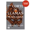Una corte de llamas plateadas